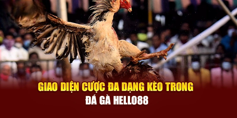 Đá Gà Hello88 – Theo Dõi Trực Tuyến, Cược Linh Hoạt